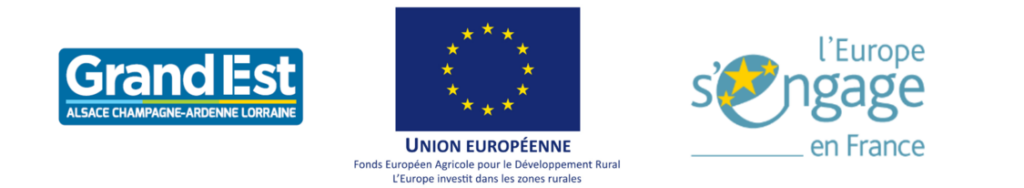 Logo UE - Grand Est